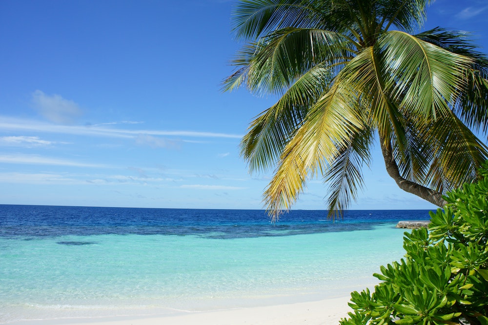 Sea Swimming Health Benefits - Beach Coconut