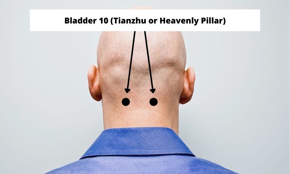 Bladder 10 (Tianzhu or Heavenly Pillar)