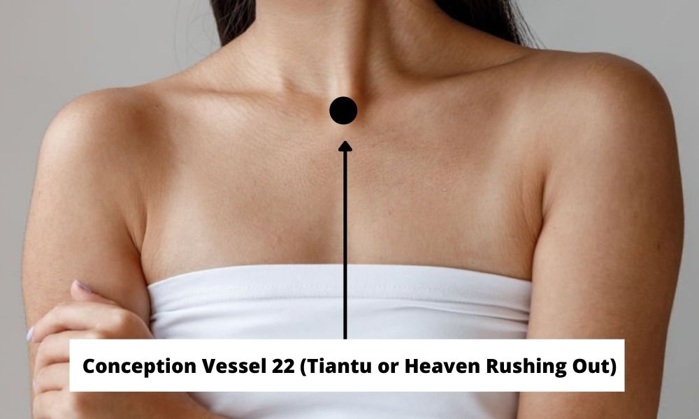 Acupressure Point Conception Vessel 22 CV 22 (Tiantu or Heaven Rushing Out)