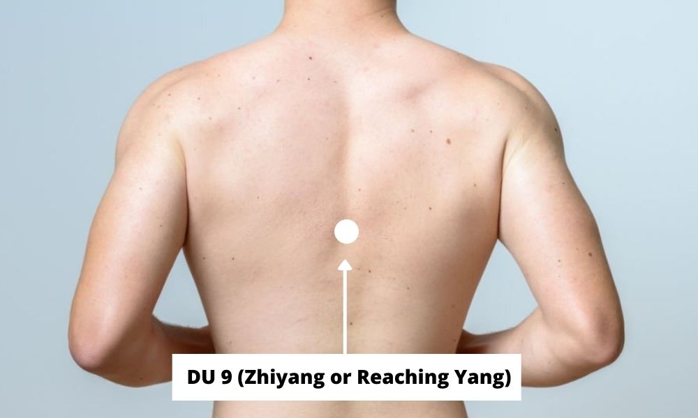 DU 9 (Zhiyang or Reaching Yang)