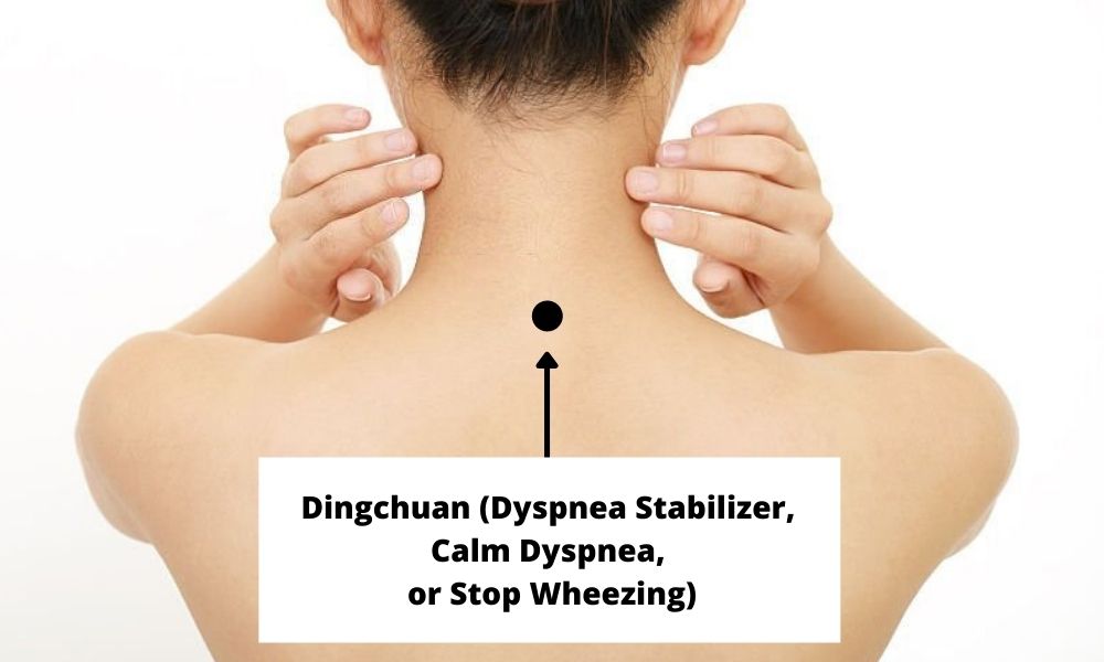 Acupressure Point Dingchuan EX B1 (Dyspnea Stabilizer, Calm Dyspnea, or Stop Wheezing)