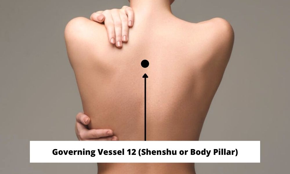 Acupressure Point Governing Vessel 12 GV 12 (Shenshu or Body Pillar)