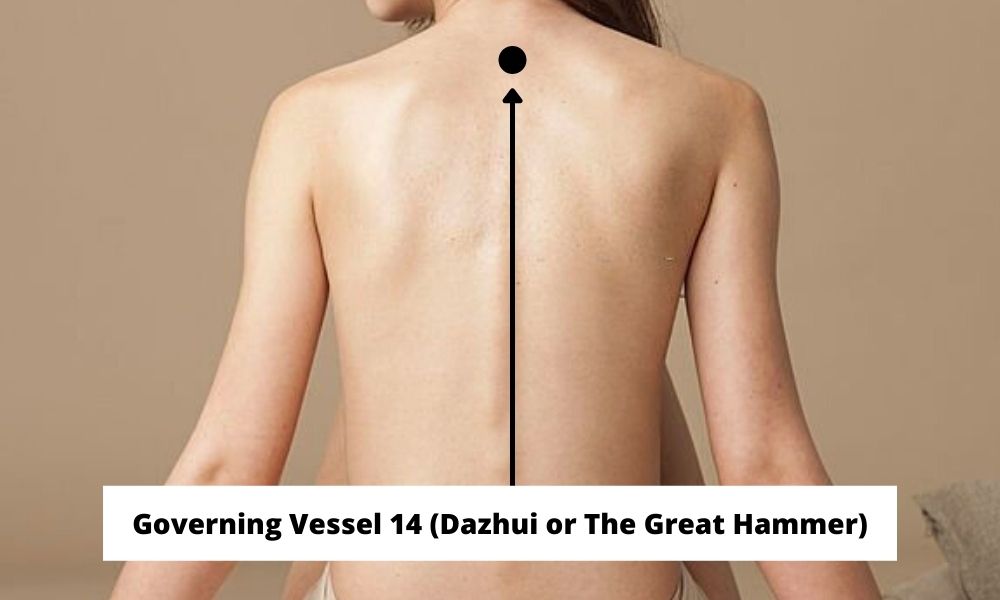 Acupressure Point Governing Vessel 14 GV 14 (Dazhui or The Great Hammer)