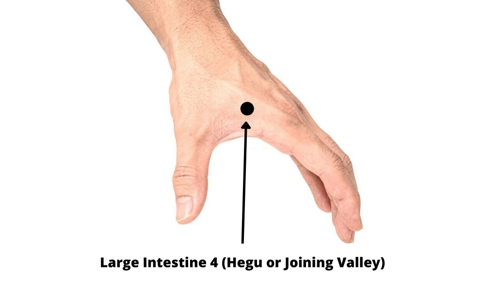 Acupressure Point Large Intestine 4 LI 4 (Hegu or Joining Valley)