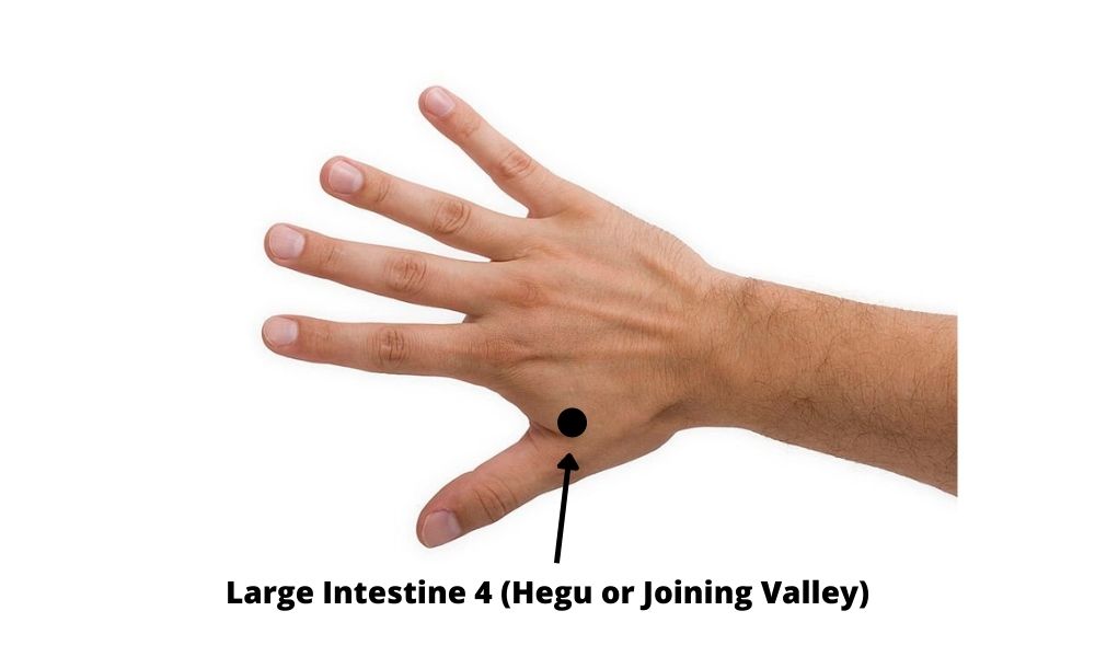 Acupressure Point Large Intestine 4 LI4 (Hegu or Joining Valley)