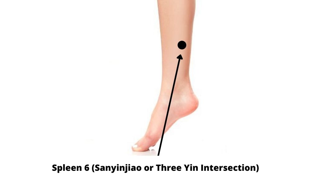 Acupressure Point Spleen 6 SP 6 (Sanyinjiao or Three Yin Intersection)
