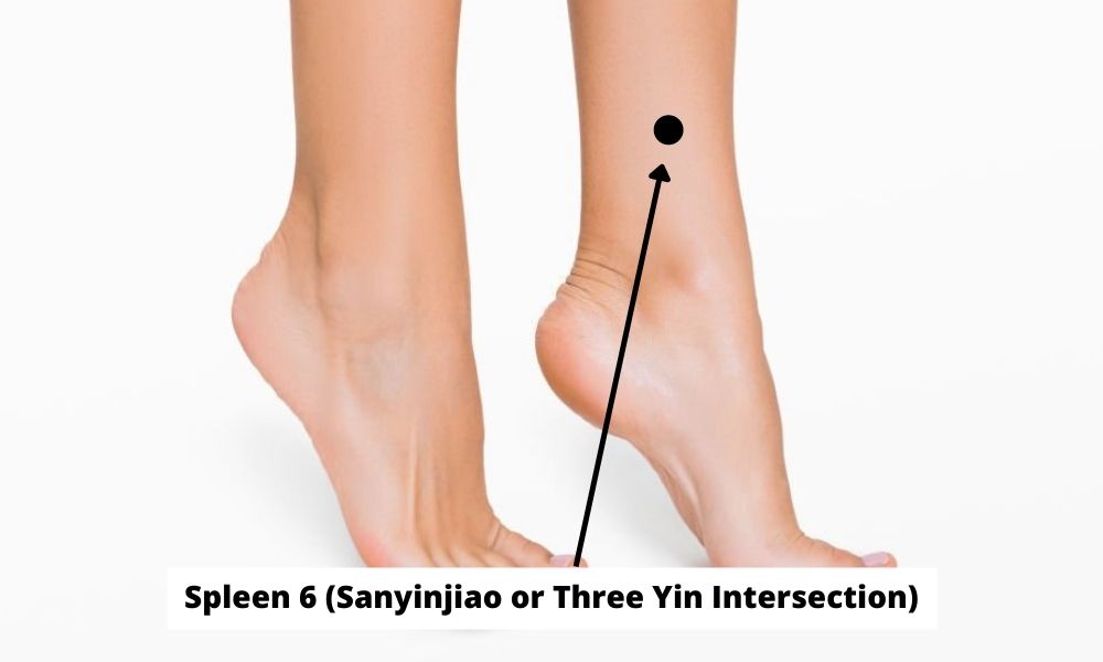 Acupressure Point Spleen 6 SP6 (Sanyinjiao or Three Yin Intersection)