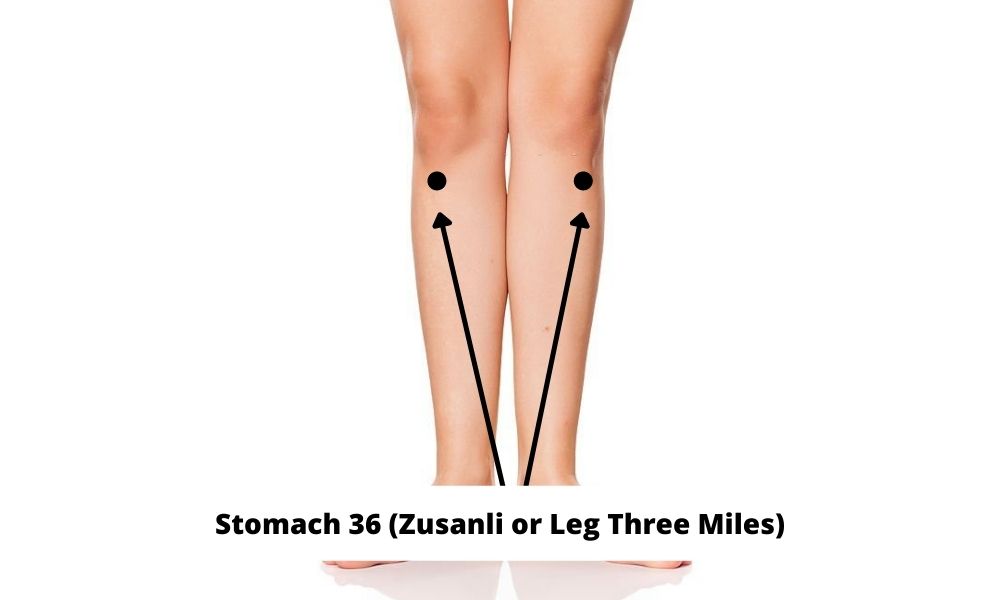 Acupressure Point Stomach 36 ST 36 (Zusanli or Leg Three Miles)