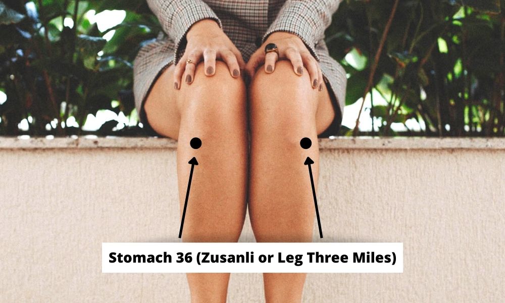 Acupressure Point Stomach 36 ST36 (Zusanli or Leg Three Miles)