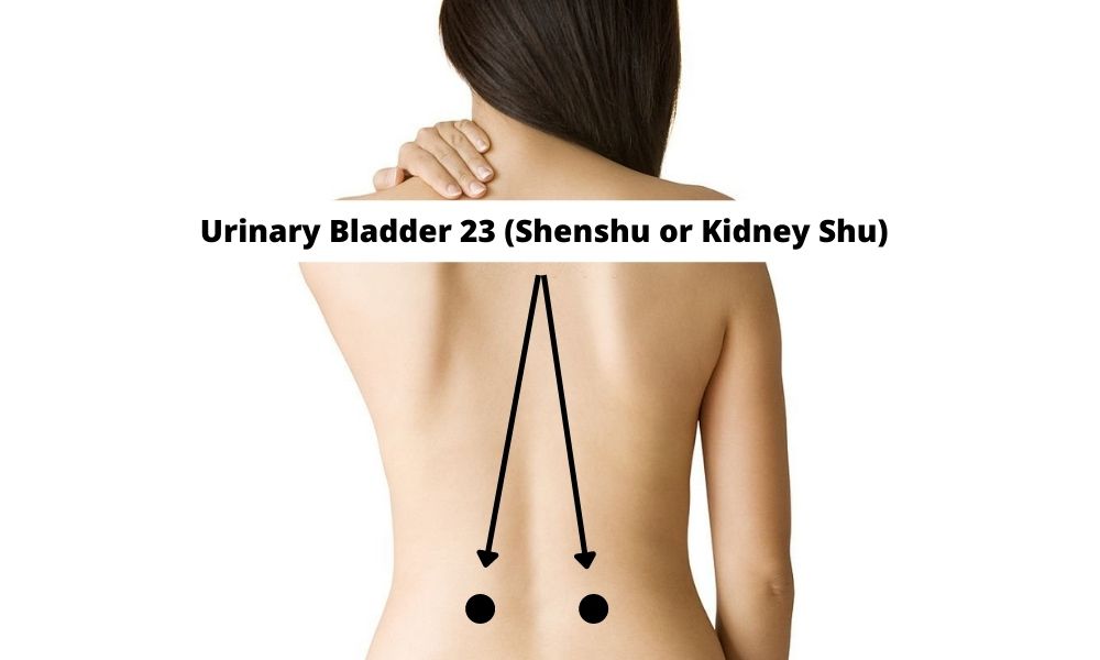 Acupressure Point Urinary Bladder 23 UB 23 (Shenshu or Kidney Shu)