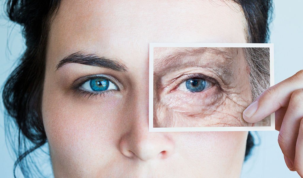 Best Herbs For Skin Regeneration Wrinkles