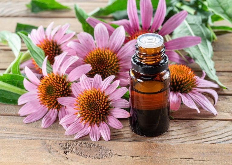 The 10 Best Herbs For Skin Regeneration For A Healthier Skin The