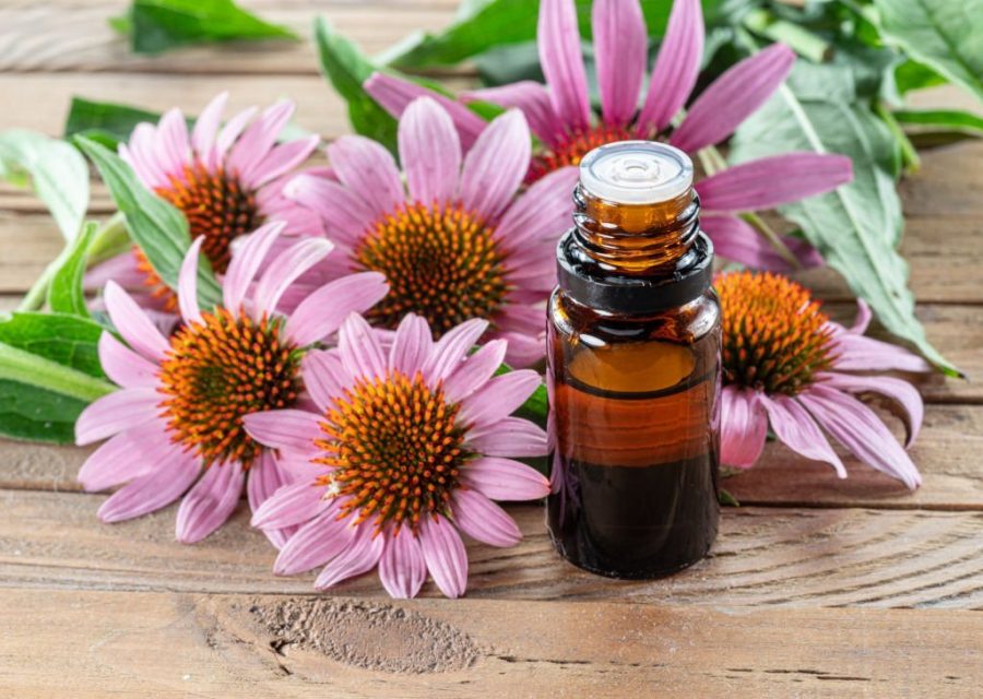 The 10 Best Herbs For Skin Regeneration For A Healthier Skin The