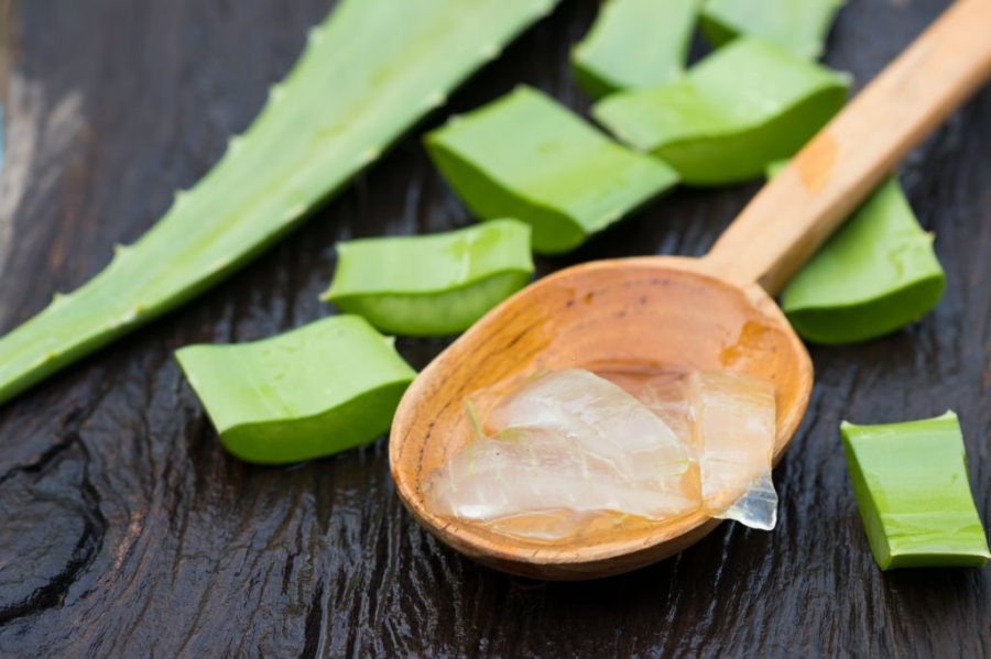 The 10 Best Herbs For Eczema That Will Quickly Relief Your Symptoms
