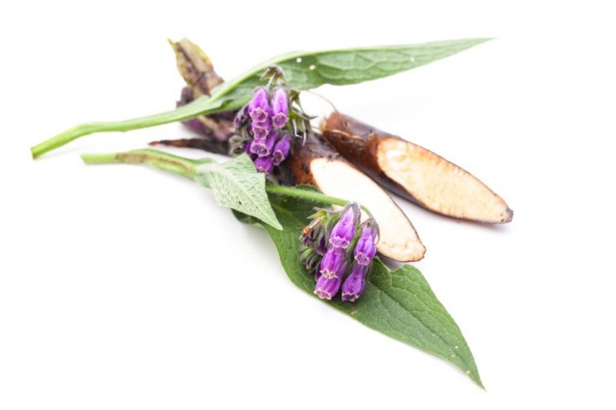 The 10 Best Herbs For Skin Regeneration For A Healthier Skin The