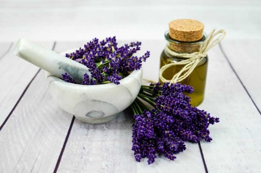 The 10 Best Herbs For Skin Regeneration For A Healthier Skin The