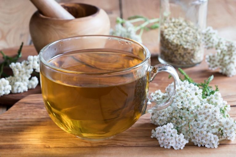 The 10 Best Herbs For Menstrual Cramps & Painful Periods