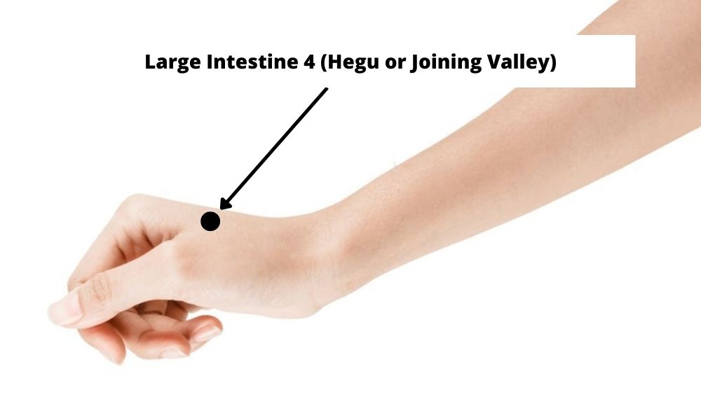 Acupressure Point Large Intestine 4 LI 4 (Hegu or Joining Valley)