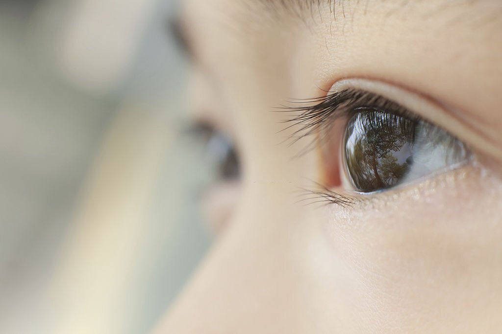 Atemoya Fruit Health Benefit - Promotes Eye Health